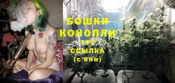каннабис Белокуриха