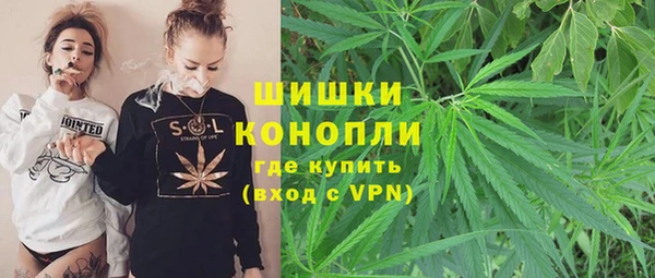 молекула духа Белоозёрский