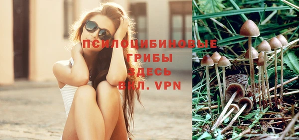 молекула духа Белоозёрский