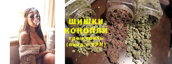 шишки Пролетарск