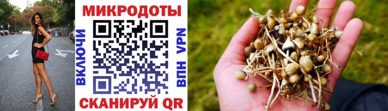 Псилоцибиновые грибы прущие грибы  купить   Красавино 